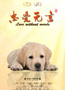亚洲精品视频免费看